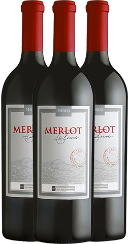 Vertical Miolo Merlot Terroir